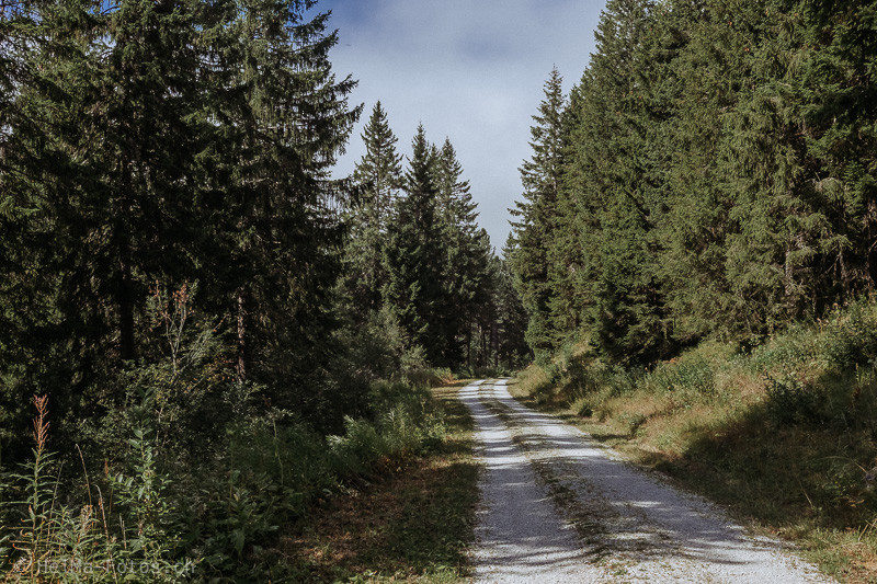HelMa Fotografie mecker Ziegentrekking Wandern Ziegen Pfauenziege Grüenochtegeiss Ziegenbock Ziegentraining Gantrisch Nebel Gurnigel  01 800x533