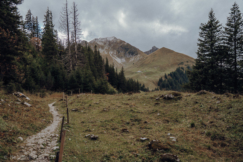 HelMa Fotografie mecker Ziegentrekking Wandern Ziegen Pfauenziege Grüenochtegeiss Ziegentraining Gantrisch Gurnigel 01 800x533