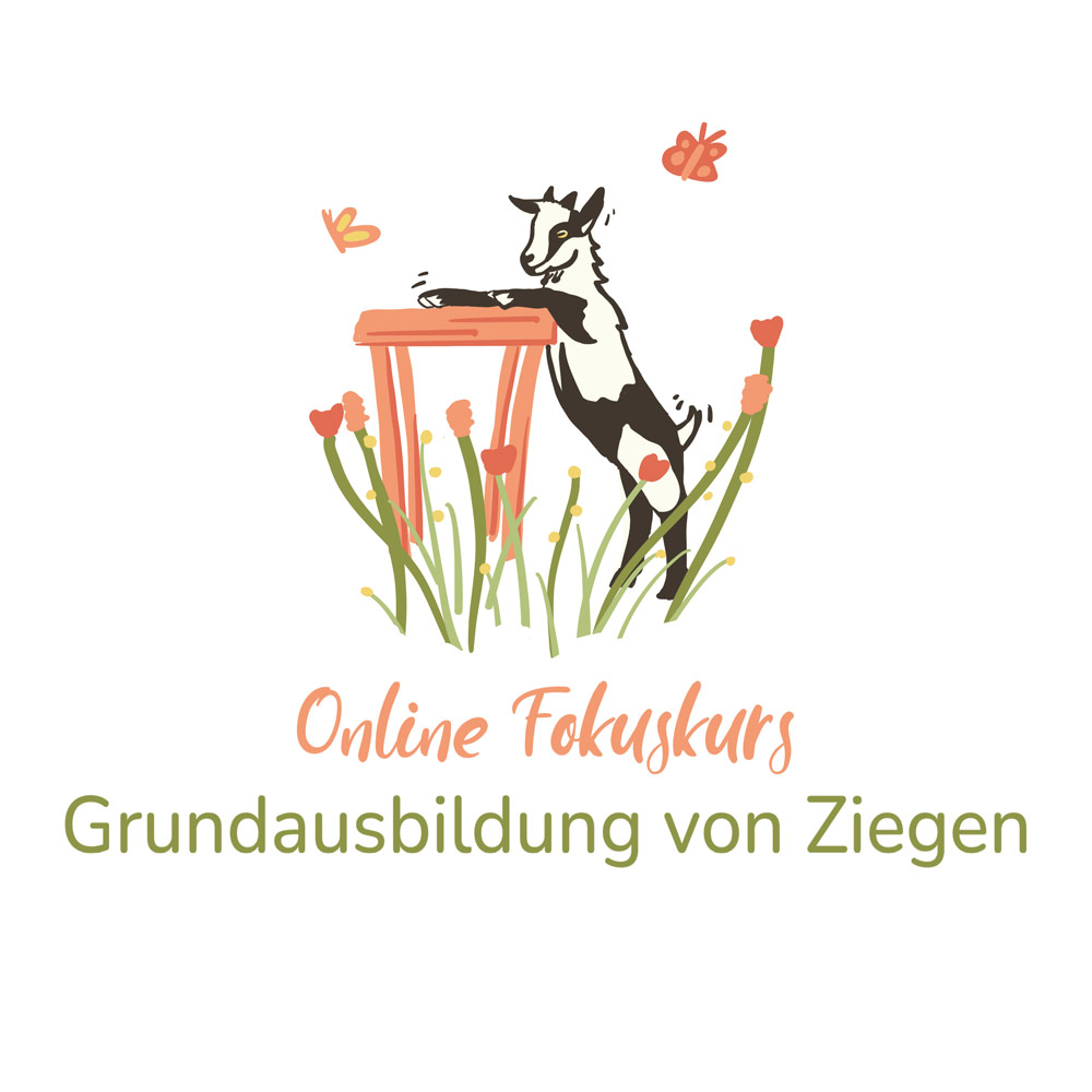 Fokuskurs: Grundausbildung 2025 07 Fokuskurs Grunderziehung logo 1000px