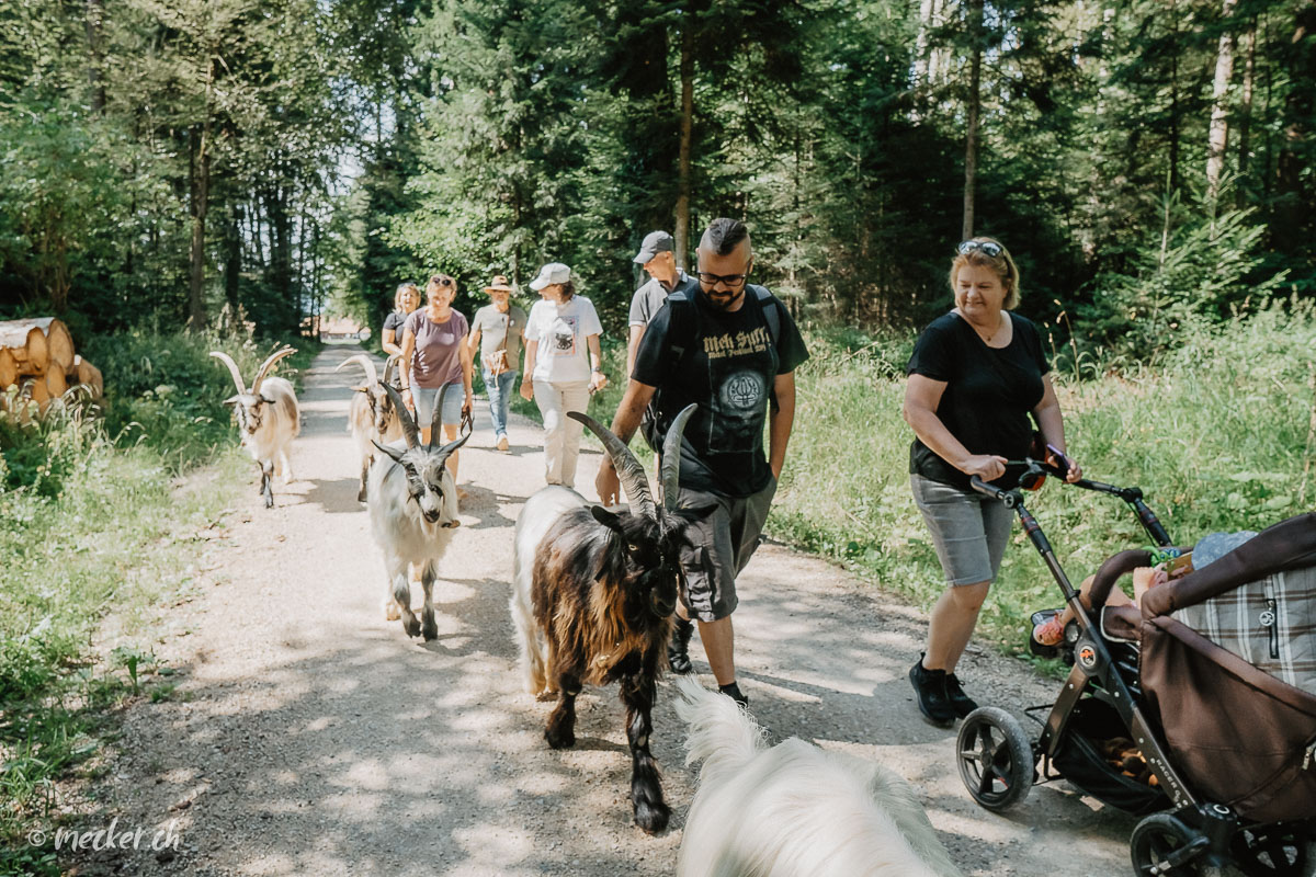 Schenke eine Ziege - Ziegenpatenschaft Ziegenpatenschaft Mecker Projekt Ziegentrekking Weihnachtsgeschenk Geburtstagsgeschenk Ziegenliebe Wandern Tierpatenschaft 7
