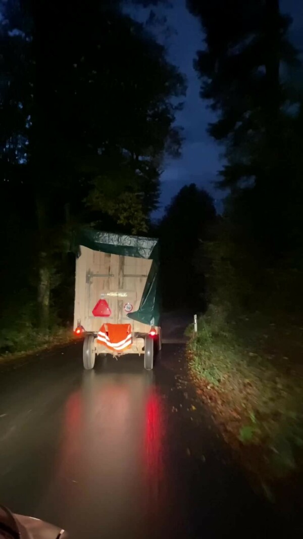 Neuer Weidestall für die Landschaftspflegerziegen🤩

Struktur ist bei Ziegenställen ALLES! Einfach nur einen Wagen hinstellen oder einen Raum zu haben funktioniert vielleicht bei Schafen. Bei Ziegen steht in dann einfach die Ranghohe am Eingang und alle anderen draussen im Regen. 

Es ist unsere Aufgabe als TierhalterInnen einen Stall so zu strukturieren, dass auch die rangtiefen Tiere keinen Stress haben. 

Braucht es dazu einen riesigen Ziegenstall? 
Nein. Das Zauberwort ist Struktur.

Mehr dazu erzähle ich euch im aktuellen Beitrag auf Patreon.

ps: Bitte bedenke, dass die gezeigte Lösung in diesem Video nur eine von vielen Möglichkeiten ist. Sie ist auf meine Ziegen, ihre Bedürfnisse und Gewohnheiten abgestimmt und auf den Einsatz in der Landschaftspflege. Und auch auf meine zeitlichen / finanziellen Möglichkeiten. 
Es gibt ein paar Dinge, die sich erfahrungsgemäss meist bewähren, aber eben verschiedene Wege nach Rom. 😉

Musik: Epedemic Sound, ES_Today Is a Good Day to Live - John T. Graham

ziegen ziegenhaltung landschaftspflege landschaftspflegemitziegen goats packziegen packgoats ziegentraining ziegenstall besteshobby lebenaufdemland fyp reeloftheday cute goatkeeping tiergerecht artgerecht informativ pfauenziege grüenochtegeiss prospecierara kupferhalsziege